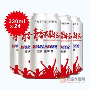 沃奥德啤酒青春不散场330ml×24