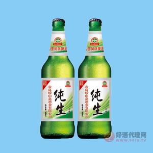 纯生啤酒500mlX12瓶