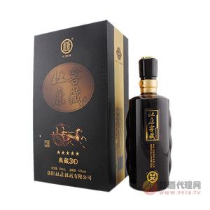 典藏30年