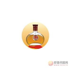 日日春酒业-银典系列养生酒-单瓶