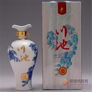 原浆典藏10年瓶装白酒
