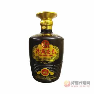 53度汾藏壹号V20 475ml
