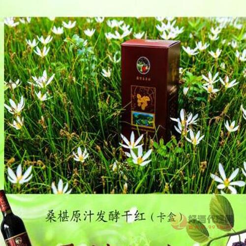 山谷春桑椹原汁发酵干红红盒