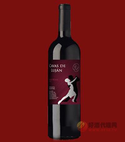 唐-赫纳罗-（珍藏版）干红葡萄