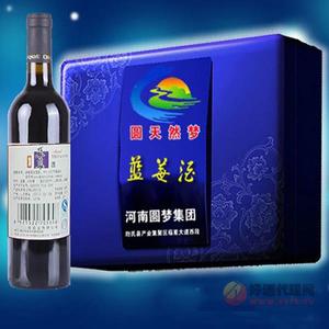 圆梦集团瓶装蓝莓果酒