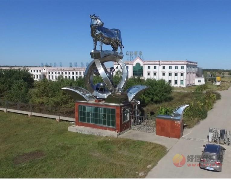 黑龙江马功食品有限公司宣传