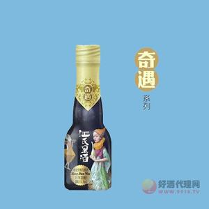 汪氏果酒奇遇系列蜂蜜青梅酒12度300ml