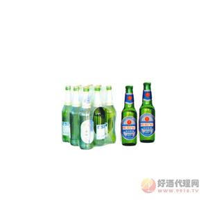 动感啤酒600ml×9瓶装