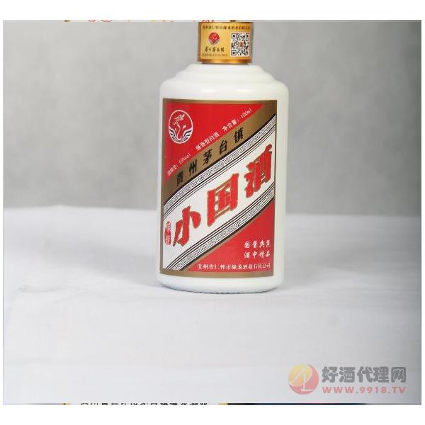 茅台镇小国酒53度100ML