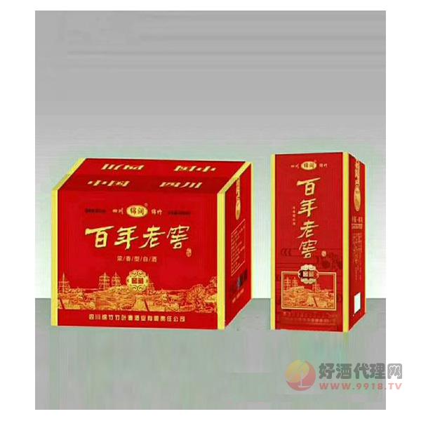 百年老窖窖藏酒450ml