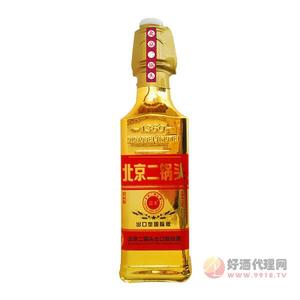 北京二锅头出口型国际版42度500ml金装