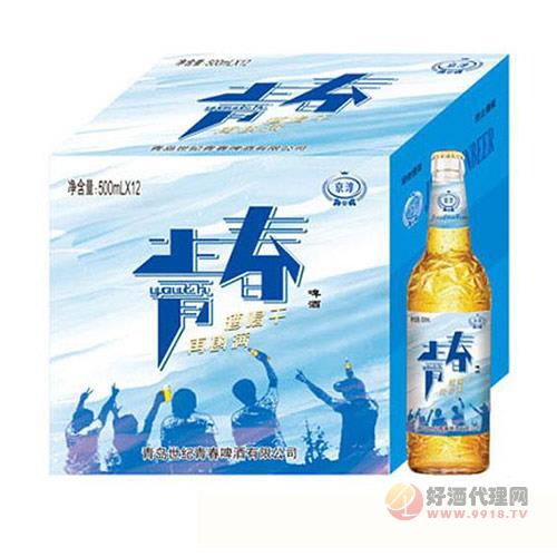 京淳啤酒青春500mlX12瓶