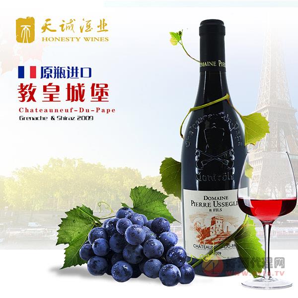 天诚教皇城堡-原装法国进口红酒AOC干红葡萄酒