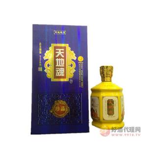天地魂浓香型白酒52度500ml