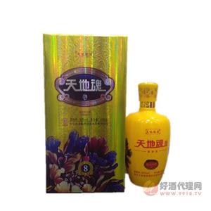 天地魂浓香型白酒52度500ml黄盒