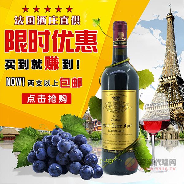 天诚嘉丽斯城堡-原装法国进口红酒AOC干红葡萄酒