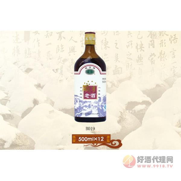 咸亨玻瓶系列B019-500ml
