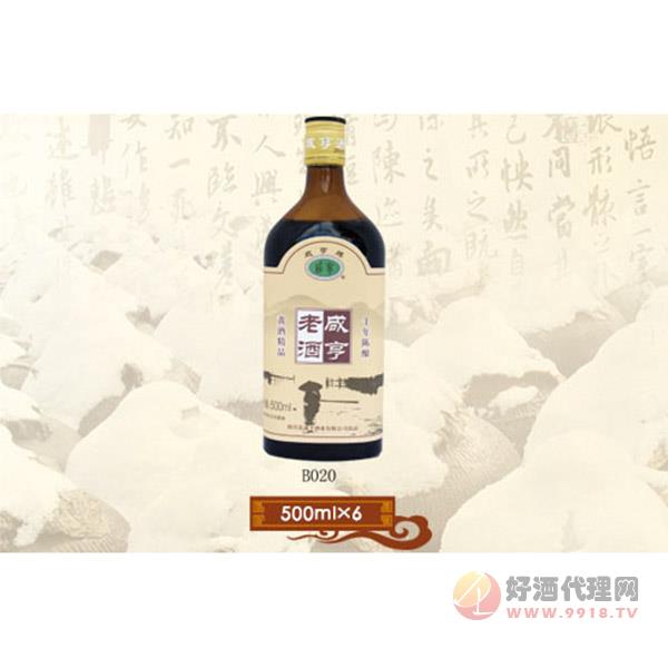 咸亨玻瓶系列B020-500ml