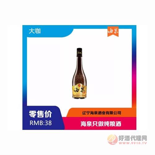 海泉白酒大咖42°