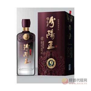 汾阳王晋韵九年-汾阳王酒500ml