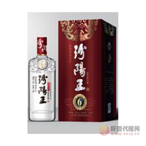 汾阳王晋韵六年-汾阳王酒500ml