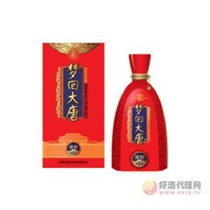 汾阳王梦回大唐（国梦）500ml