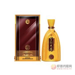 汾阳王梦回大唐（天下梦）500ml