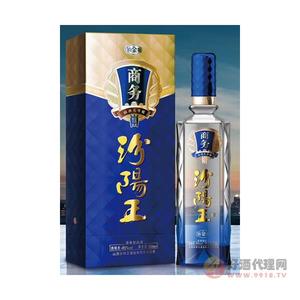 汾阳王商务汾阳王铂金版500ml