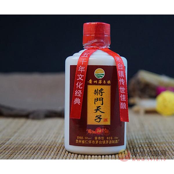 将门天子15年