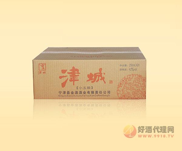津城42度小五粮250ml