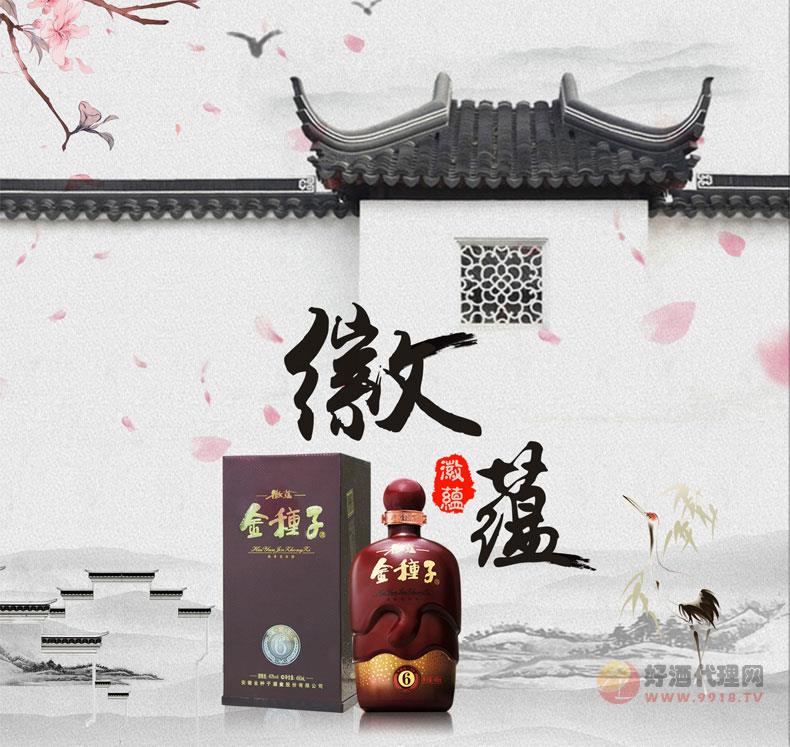 金种子40度460mL徽蕴6礼盒装