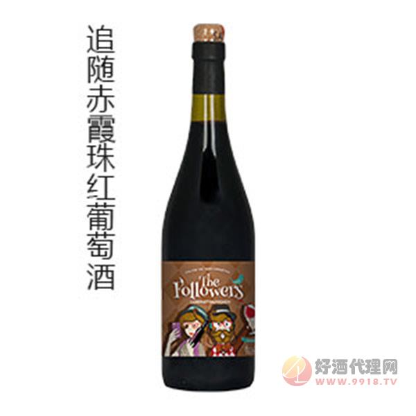 追随赤霞珠红葡萄酒750ml