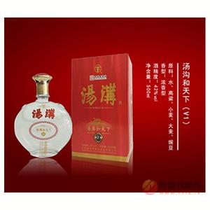 汤沟和天下（V1）500ml