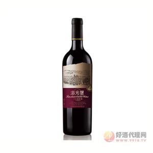 汤沟工匠葡歌J6干红葡萄酒750ml