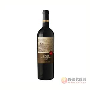 汤沟工匠葡歌J9干红葡萄酒750ml