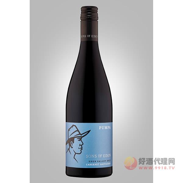 伊顿之子朋派赤霞珠干红葡萄酒750ml