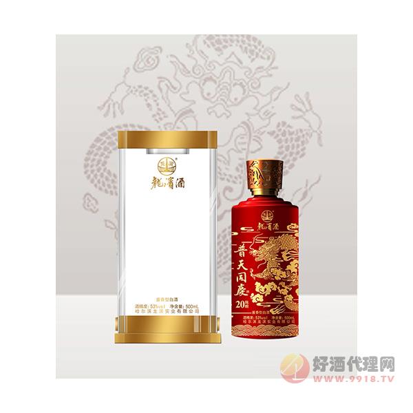 龙滨普天同庆53°白酒500ml