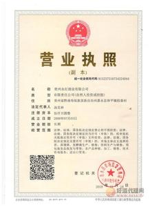 营业执照_副本