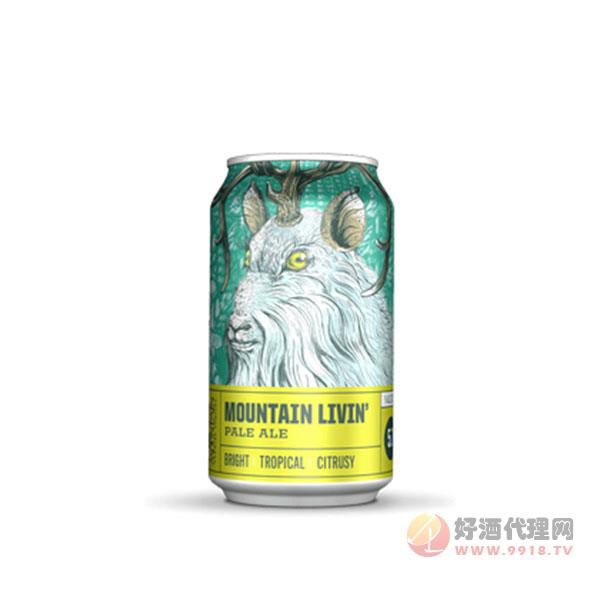 疯狂山峰-山脉生活淡色艾尔啤酒（罐）355ML