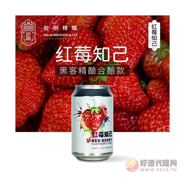 【拾捌精酿】红莓知己古斯精酿啤酒草莓蔓越水果酸啤330ml_6瓶装