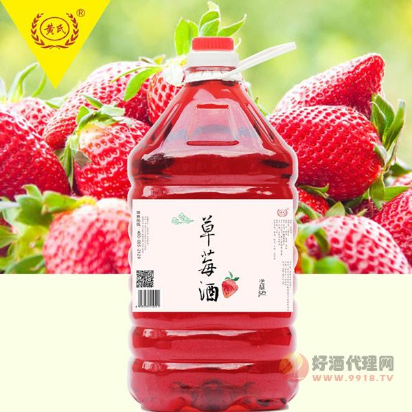 黄氏草莓酒5升