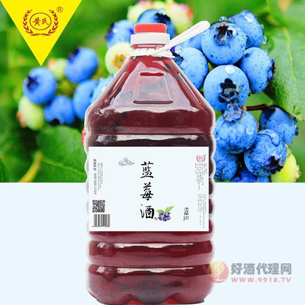 黄氏蓝莓酒5升