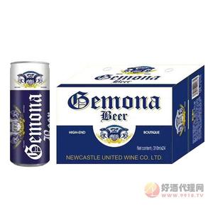 纽卡斯尔啤酒310mlx24罐