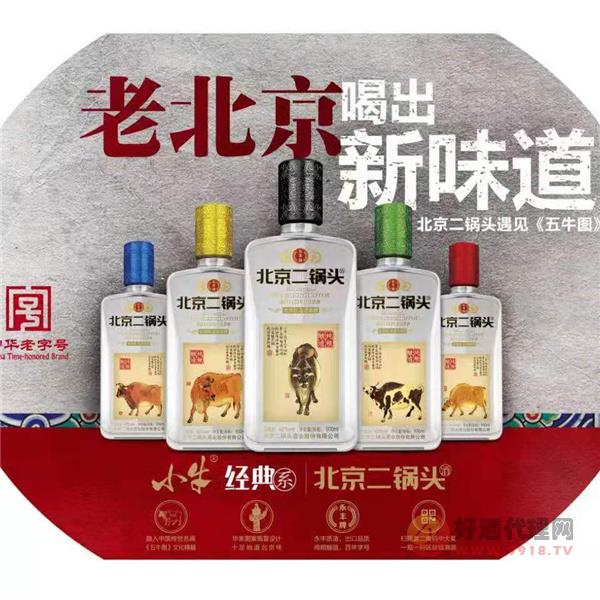 小牛二锅头500ml