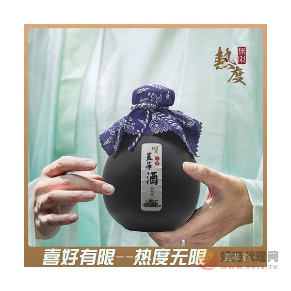 蓝莓酒果酒自酿酒女士酒低度水果酒花果酒甜酒