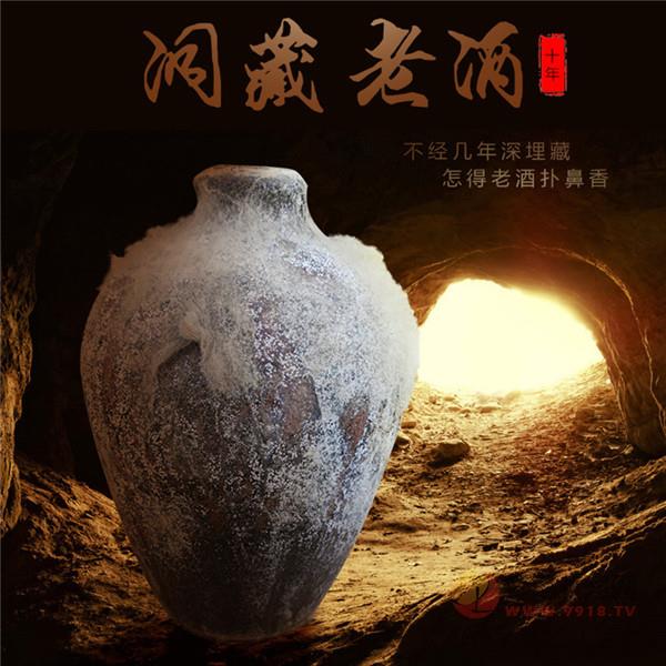 贵州茅台镇格白酒酱香型高粱原浆酒坛装洞藏老酒整箱