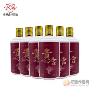 贵合芳华量贩装贵州特产茅台镇白酒酱香型老酒送礼收藏纯粮酒