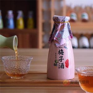 青梅酒女士低度甜酒微熏聚会小资情调酒