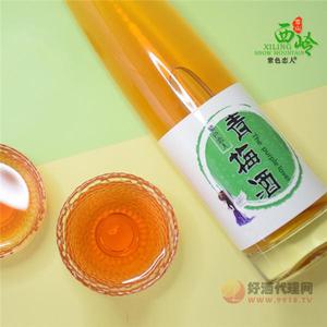 微熏时尚少女果酒低度甜酒青梅酿