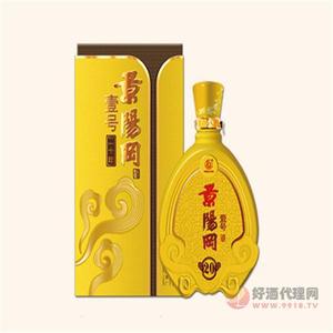 景阳冈 一号二十年酒